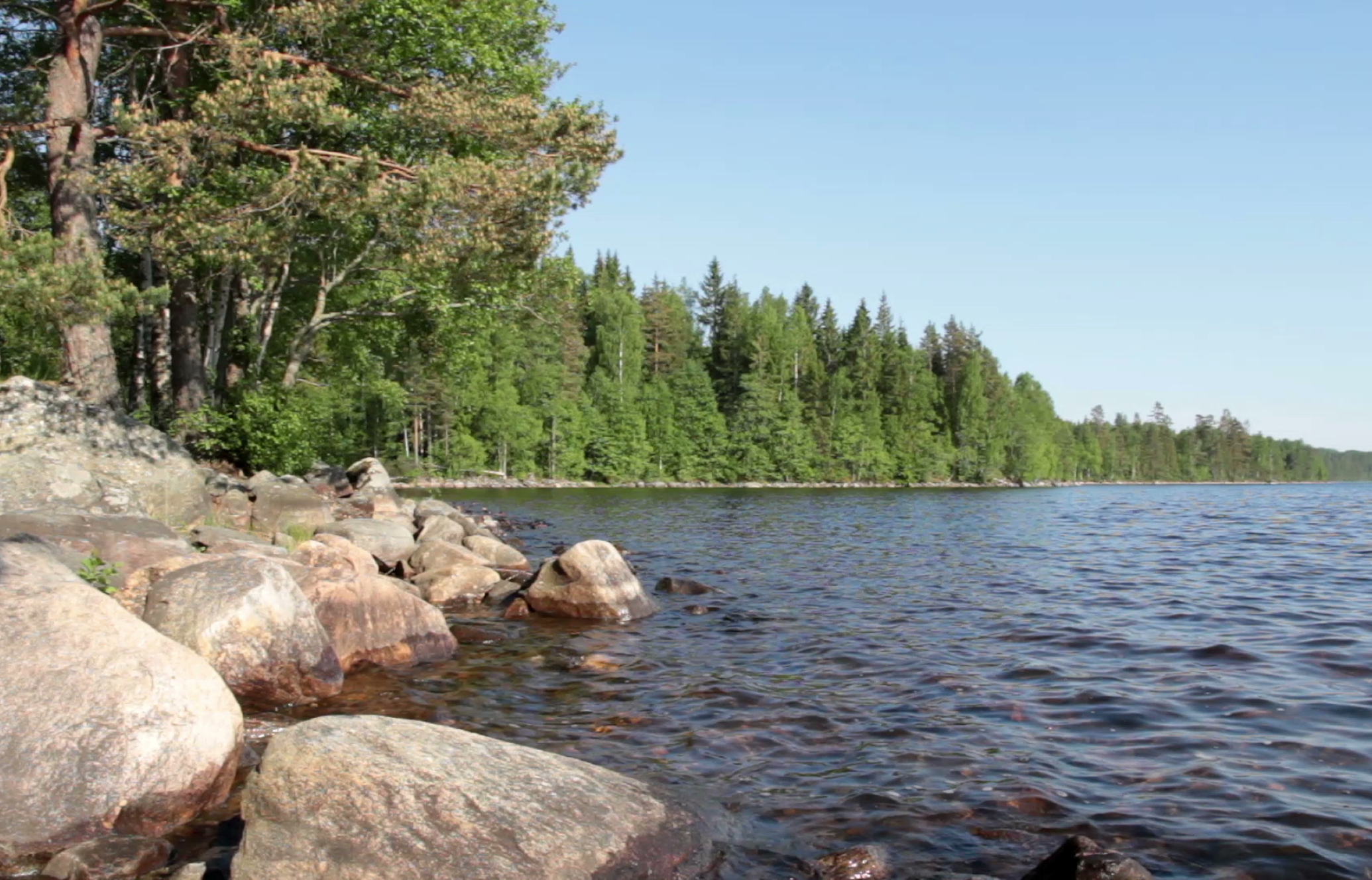 Spectacle de musique